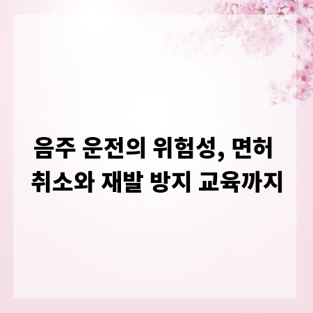 음주 운전의 위험성, 면허 취소와 재발 방지 교육까지