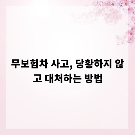 무보험차 사고, 당황하지 않고 대처하는 방법