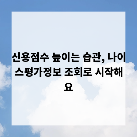 신용점수 높이는 습관, 나이스평가정보 조회로 시작해요