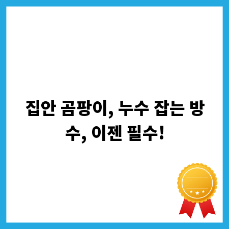 집안 곰팡이, 누수 잡는 방수, 이젠 필수!