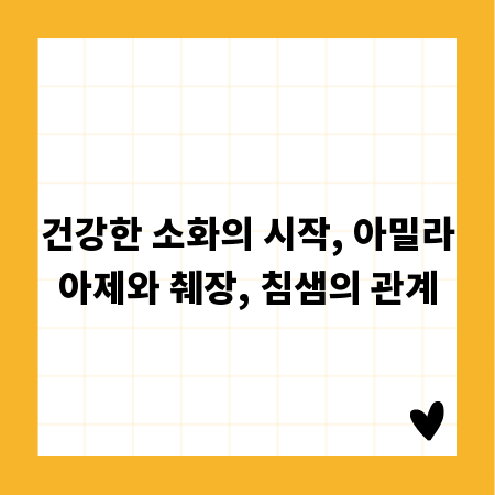 건강한 소화의 시작, 아밀라아제와 췌장, 침샘의 관계