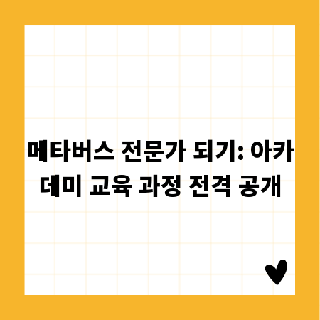 메타버스 전문가 되기: 아카데미 교육 과정 전격 공개