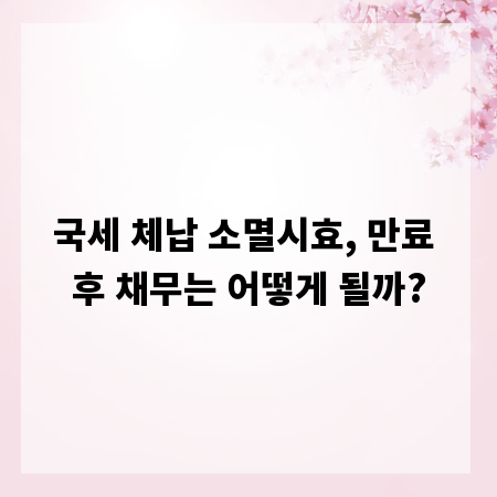 국세 체납 소멸시효, 만료 후 채무는 어떻게 될까?