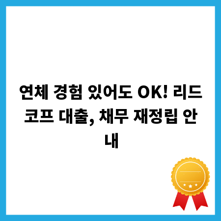 연체 경험 있어도 OK! 리드코프 대출, 채무 재정립 안내