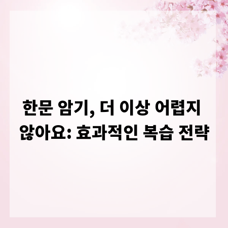 한문 암기, 더 이상 어렵지 않아요: 효과적인 복습 전략