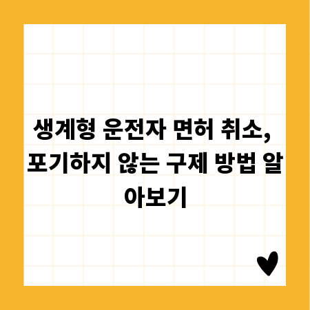 생계형 운전자 면허 취소, 포기하지 않는 구제 방법 알아보기
