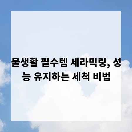 물생활 필수템 세라믹링, 성능 유지하는 세척 비법