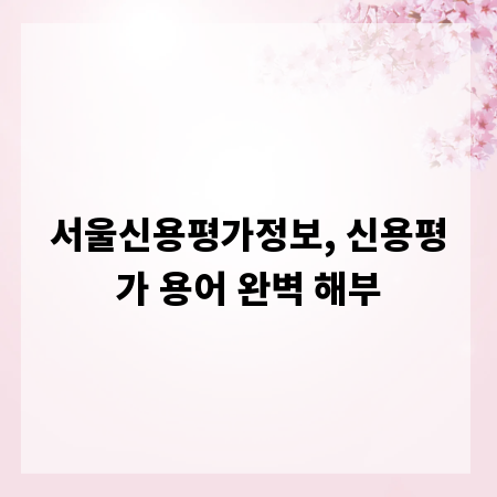 서울신용평가정보, 신용평가 용어 완벽 해부