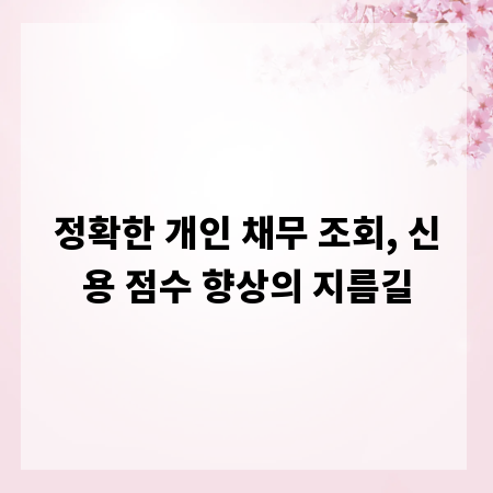 정확한 개인 채무 조회, 신용 점수 향상의 지름길