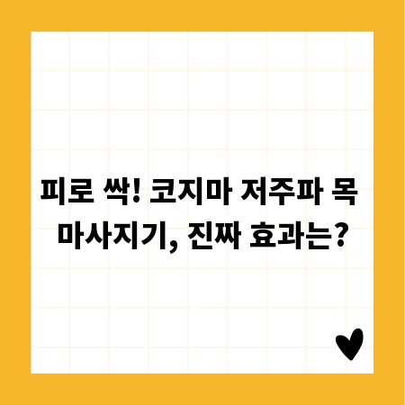 감자튀김 시즈닝, 이것만 알면 당신도 금손