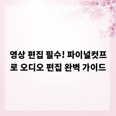 영상 편집 필수! 파이널컷프로 오디오 편집 완벽 가이드