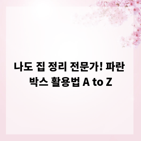 나도 집 정리 전문가! 파란 박스 활용법 A to Z