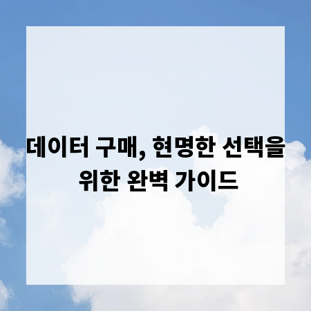 데이터 구매, 현명한 선택을 위한 완벽 가이드