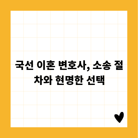 국선 이혼 변호사, 소송 절차와 현명한 선택