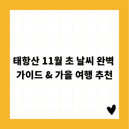 실패 없는 5단 철제 선반 배치, 수납력 UP 비법