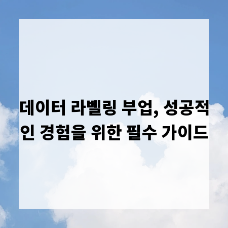 데이터 라벨링 부업, 성공적인 경험을 위한 필수 가이드