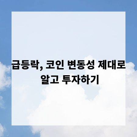 급등락, 코인 변동성 제대로 알고 투자하기