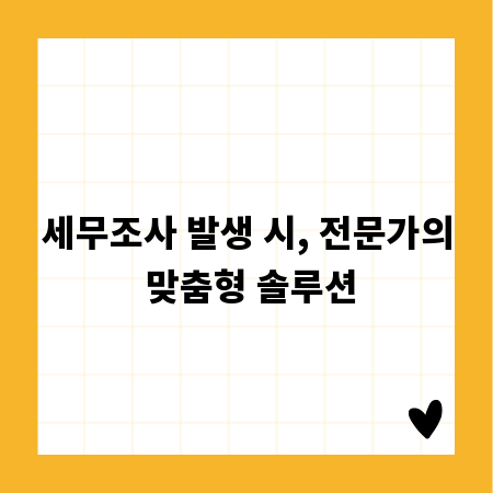 세무조사 발생 시, 전문가의 맞춤형 솔루션