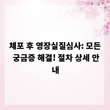 체포 후 영장실질심사: 모든 궁금증 해결! 절차 상세 안내