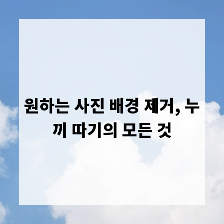 원하는 사진 배경 제거, 누끼 따기의 모든 것