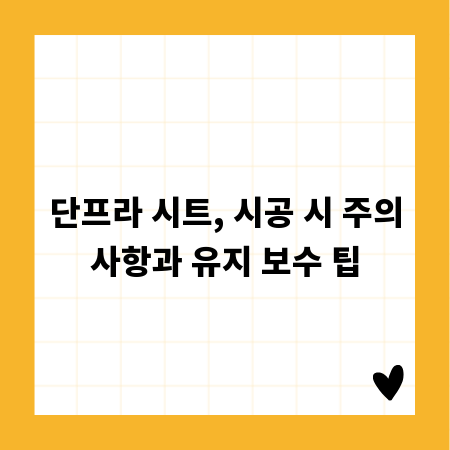 단프라 시트, 시공 시 주의사항과 유지 보수 팁