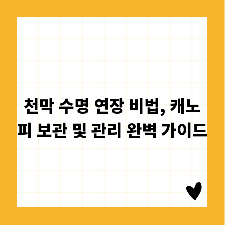 천막 수명 연장 비법, 캐노피 보관 및 관리 완벽 가이드