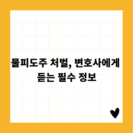 물피도주 처벌, 변호사에게 듣는 필수 정보