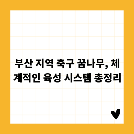 부산 지역 축구 꿈나무, 체계적인 육성 시스템 총정리