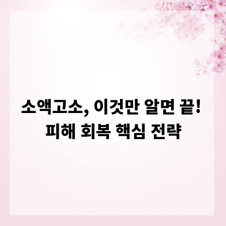 소액고소, 이것만 알면 끝! 피해 회복 핵심 전략
