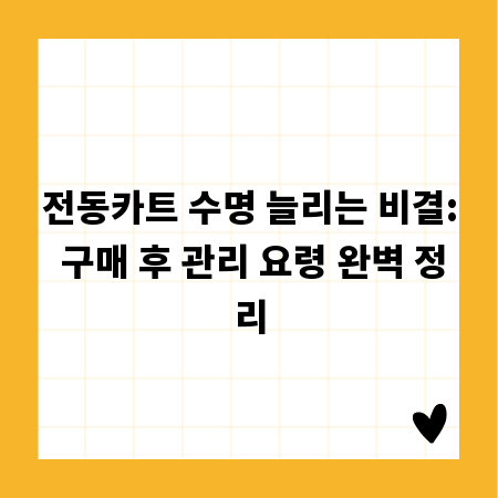 전동카트 수명 늘리는 비결: 구매 후 관리 요령 완벽 정리