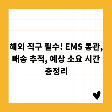 해외 직구 필수! EMS 통관, 배송 추적, 예상 소요 시간 총정리