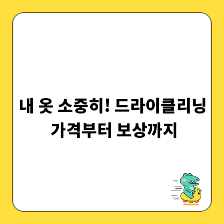 내 옷 소중히! 드라이클리닝 가격부터 보상까지