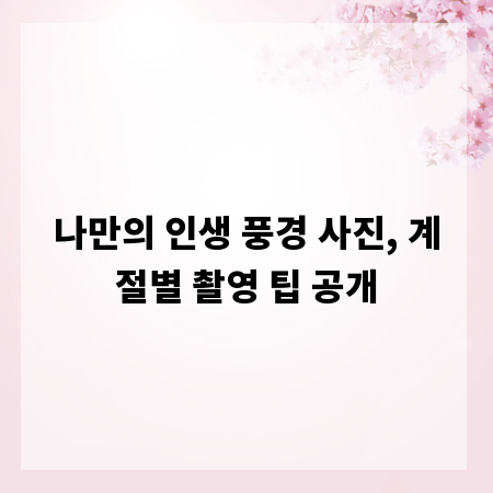 나만의 인생 풍경 사진, 계절별 촬영 팁 공개