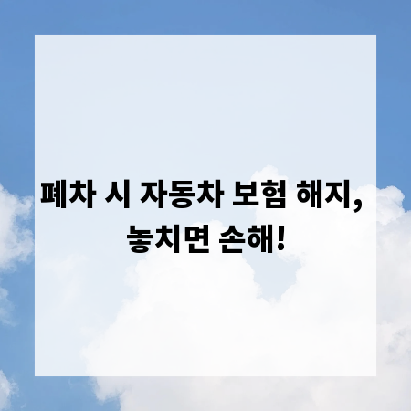 폐차 시 자동차 보험 해지, 놓치면 손해!
