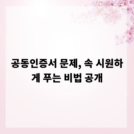 공동인증서 문제, 속 시원하게 푸는 비법 공개