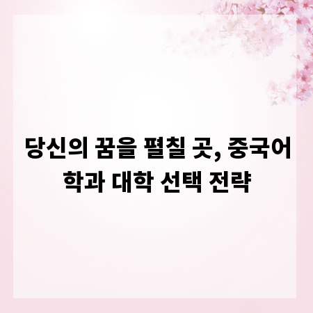 당신의 꿈을 펼칠 곳, 중국어학과 대학 선택 전략