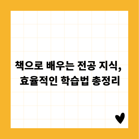 책으로 배우는 전공 지식, 효율적인 학습법 총정리