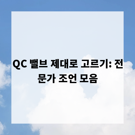 QC 밸브 제대로 고르기: 전문가 조언 모음