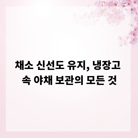 채소 신선도 유지, 냉장고 속 야채 보관의 모든 것