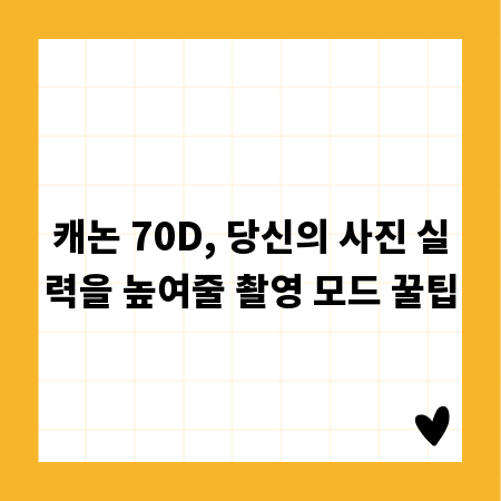 캐논 70D, 당신의 사진 실력을 높여줄 촬영 모드 꿀팁