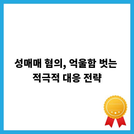 성매매 혐의, 억울함 벗는 적극적 대응 전략