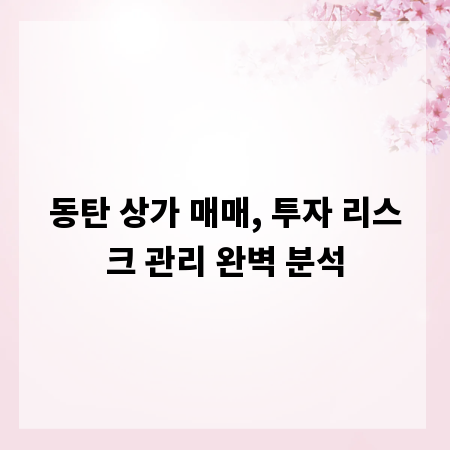 동탄 상가 매매, 투자 리스크 관리 완벽 분석