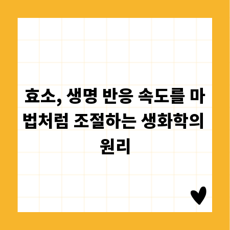 효소, 생명 반응 속도를 마법처럼 조절하는 생화학의 원리