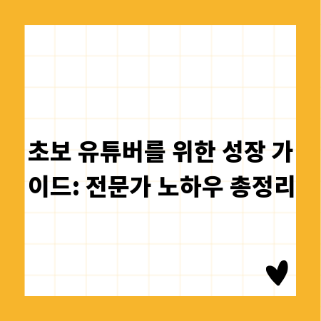 초보 유튜버를 위한 성장 가이드: 전문가 노하우 총정리