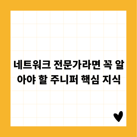 네트워크 전문가라면 꼭 알아야 할 주니퍼 핵심 지식