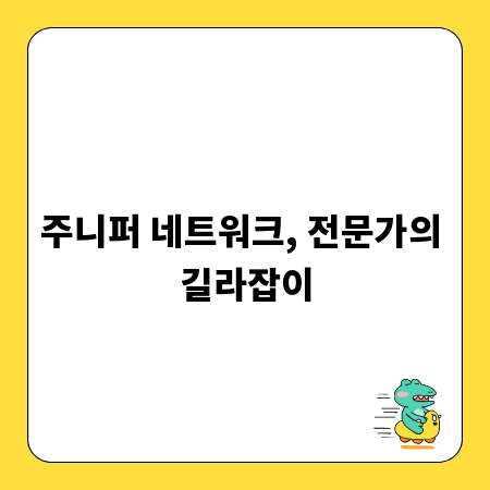 주니퍼 네트워크, 전문가의 길라잡이