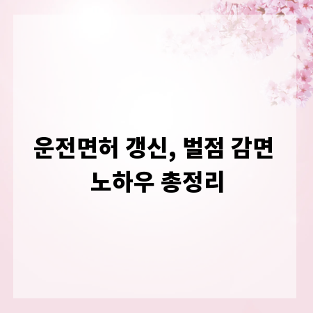 운전면허 갱신, 벌점 감면 노하우 총정리