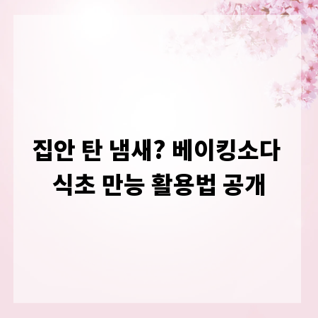 집안 탄 냄새? 베이킹소다 식초 만능 활용법 공개