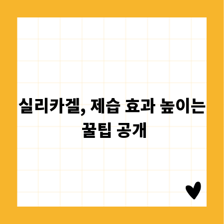 실리카겔, 제습 효과 높이는 꿀팁 공개