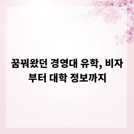 꿈꿔왔던 경영대 유학, 비자부터 대학 정보까지